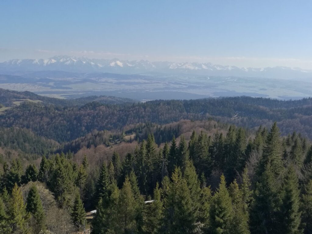 [:uk]03 Вдалині видніються Татри[:]