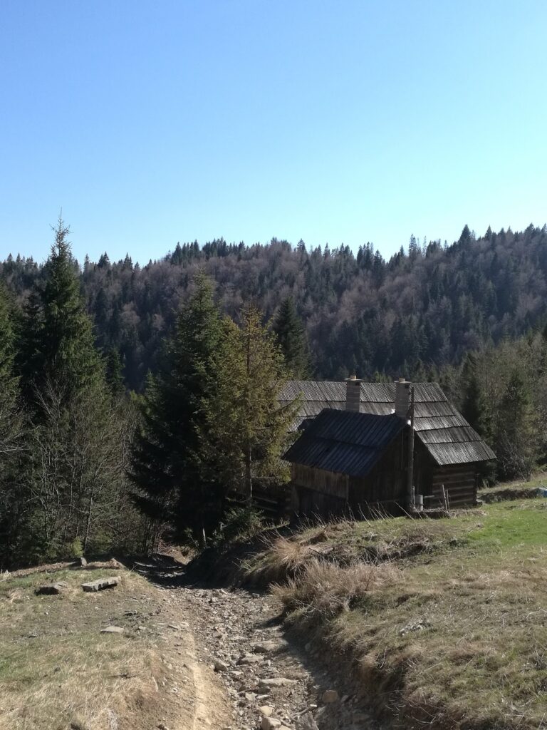 [:uk]10 Курнитова Колиба[:]