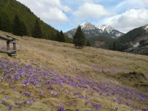 [:uk]20190323-Весна в Татрах-01[:]